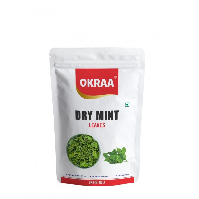 Mint Leaves (Phudina Leaves)  (100 g)